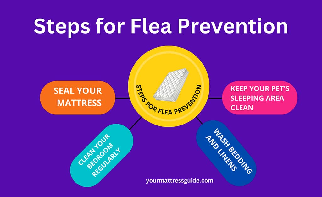 Steps for Flea Prevention