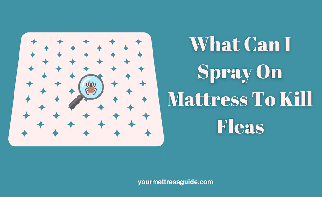 What Can I Spray On Mattress To Kill Flea