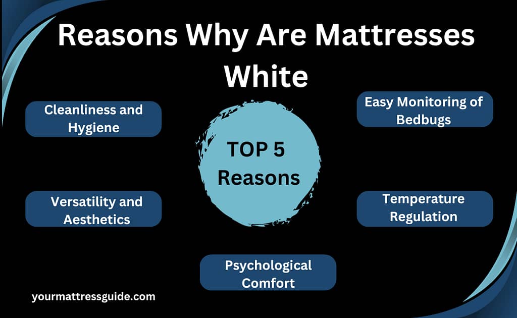 Reasons Why Are Mattresses White