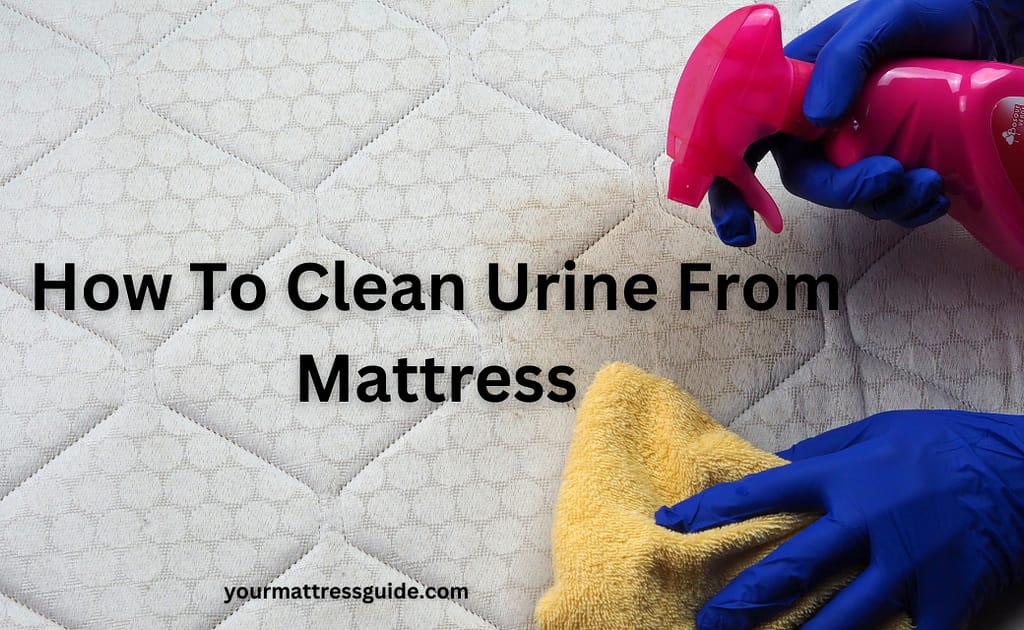 How To Clean Urine From a Mattress