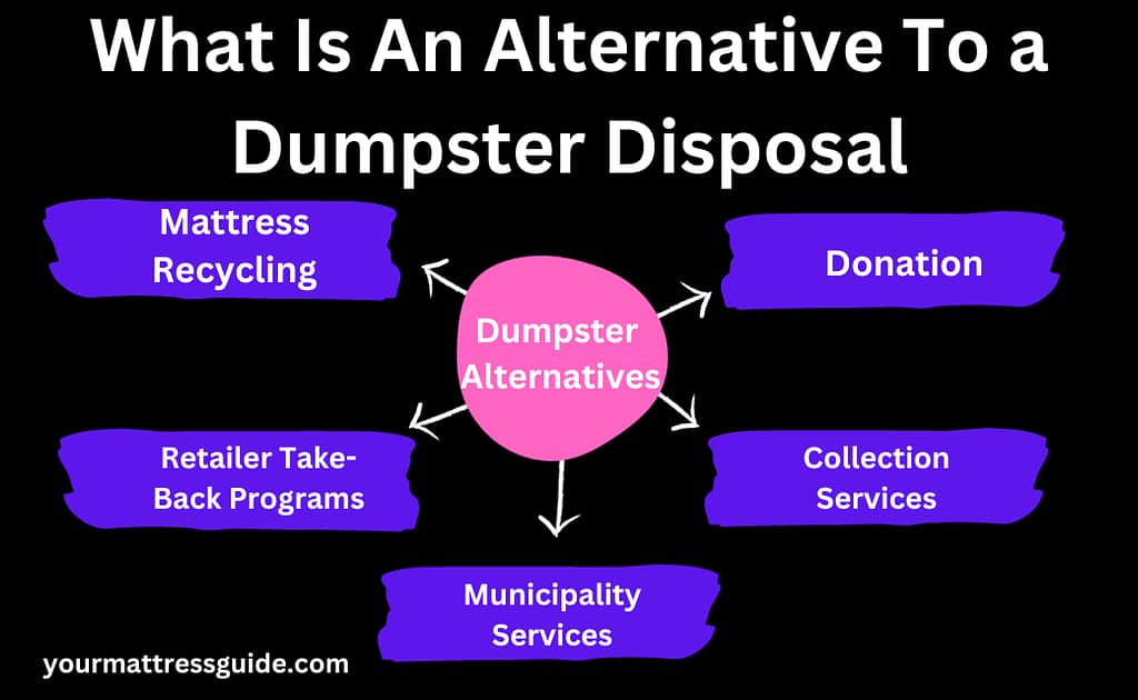 What Is An Alternative To a Dumpster Disposal