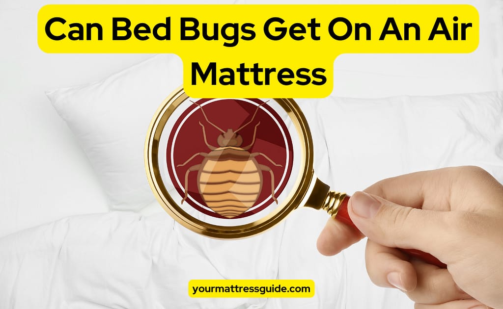 Can Bed Bugs Get On An Air Mattresses