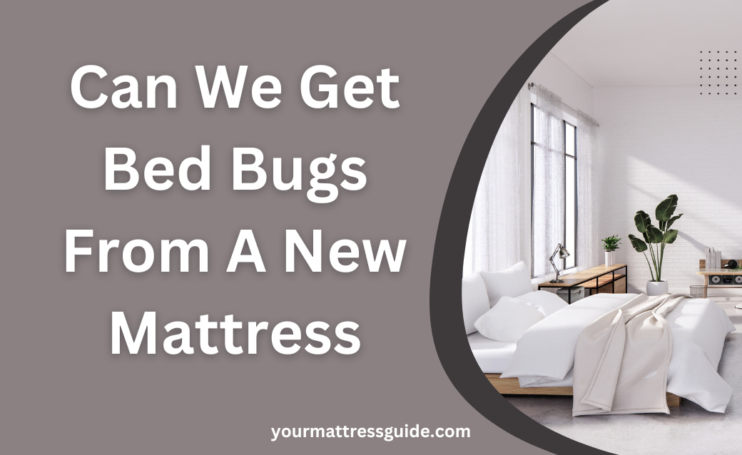 Can We Get Bed Bugs From A New Mattress