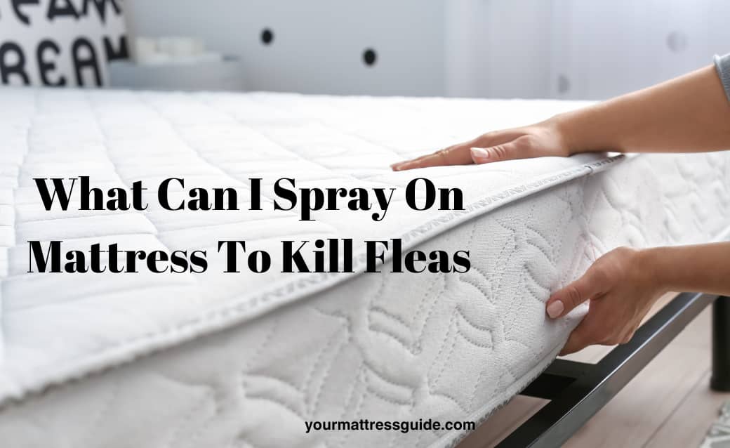 What Can I Spray On Mattress To Kill Fleas