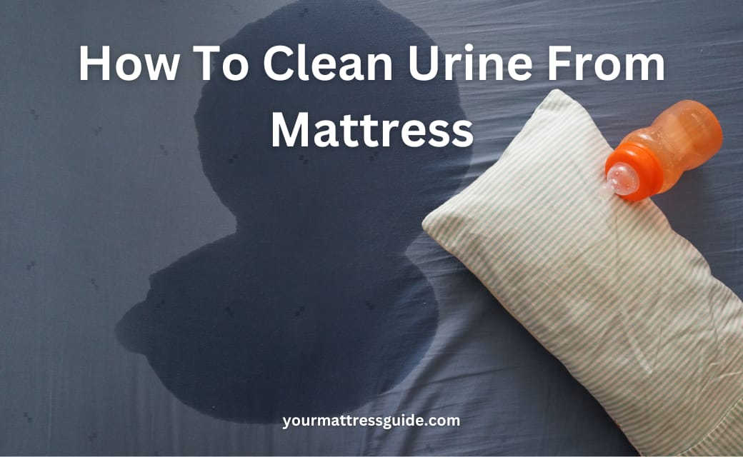 How To Clean Urine From Mattress