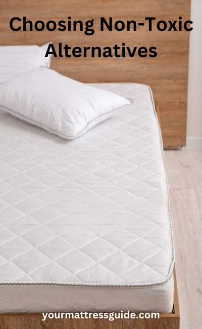 Choosing Non-Toxic Alternatives