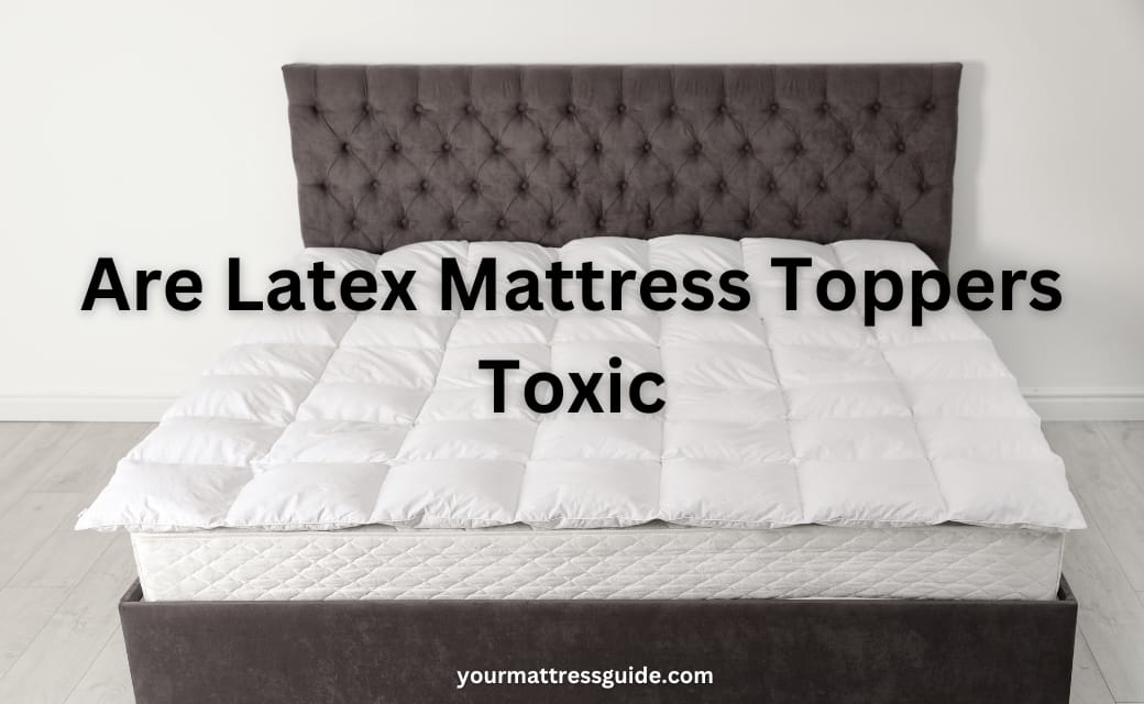 Are Latex Mattress Toppers Toxic Health Hazards Guide 2024